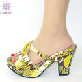 New Arrrival Italian Design Women Shoes Decorated with Rhinestone Summer Shoes Big Size Ladies Shoes High Heels Party Pumps