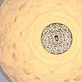 New Fashion Living Room Chandelier Lamp - Gustobene